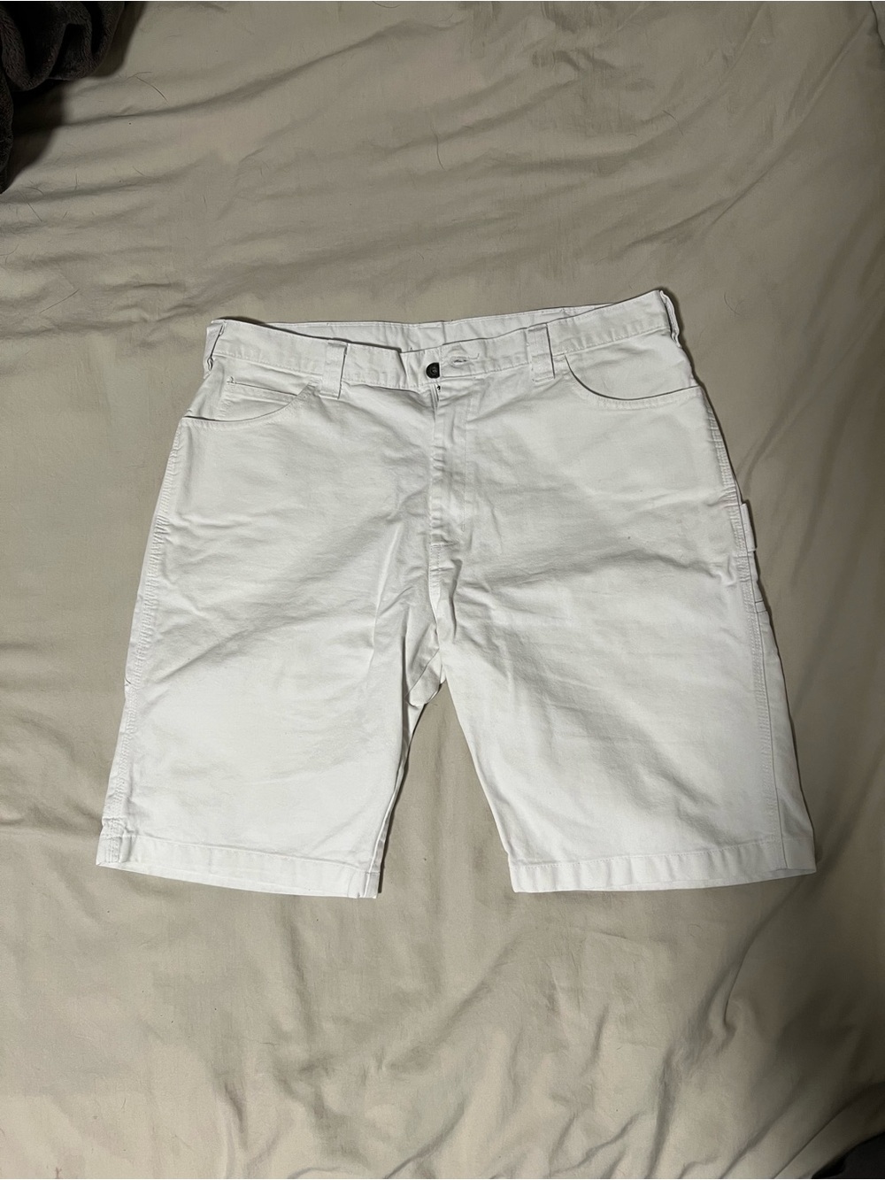 Dickies Sherwin Williams Painter Carpenter Shorts White sz36